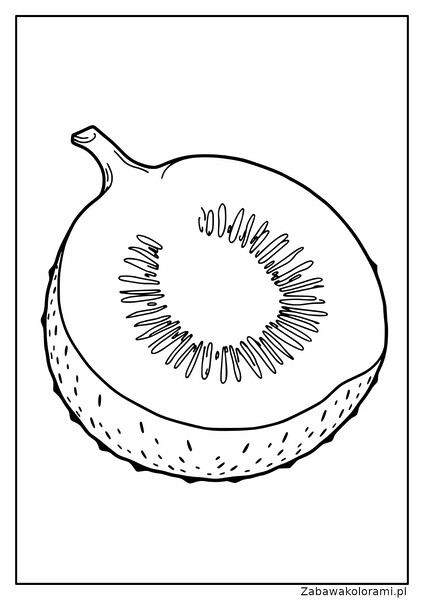 Kiwi kolorowanka