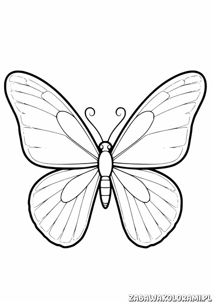 Motyl z rozłożonymi skrzydłami, z detalicznymi wzorami i żyłkami